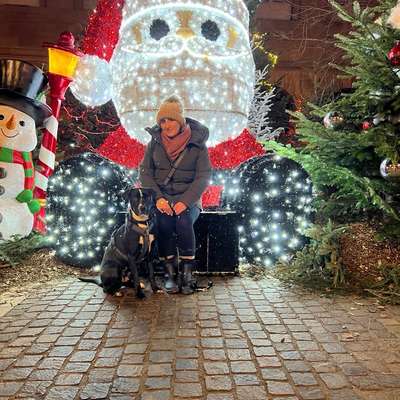 Hundetreffen-Welpentreff