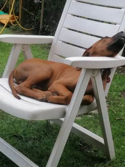 FOTO-Challenge  NR. 91: Die pure Entspannung-Beitrag-Bild