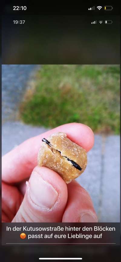 Giftköder-Leckerlies mit Schraube gespickt-Bild