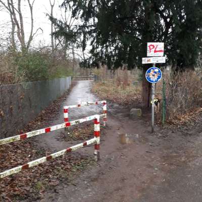 Hundeauslaufgebiet-An der Leine (Fluß, heißt auch Deich  Schwanenburg)-Bild