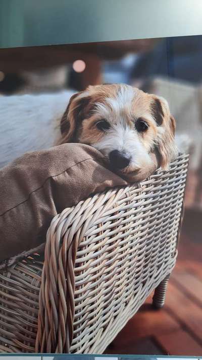 Lieblingsbild-Beitrag-Bild