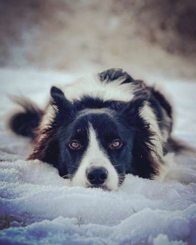 28. Handy-Fotochallenge - Damals und heute-Beitrag-Bild