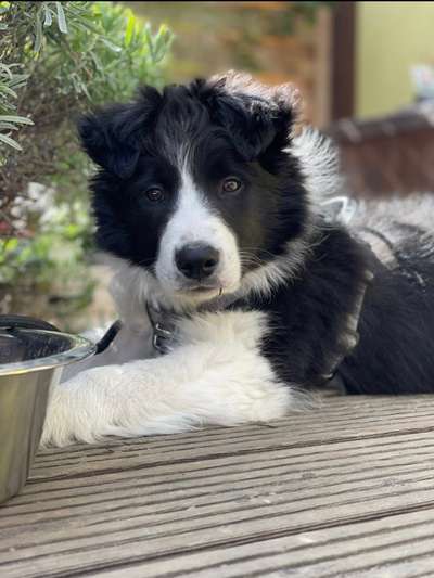 28. Handy-Fotochallenge - Damals und heute-Beitrag-Bild