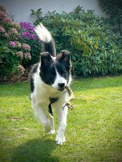 19. Handy - Foto - Challenge-Beitrag-Bild