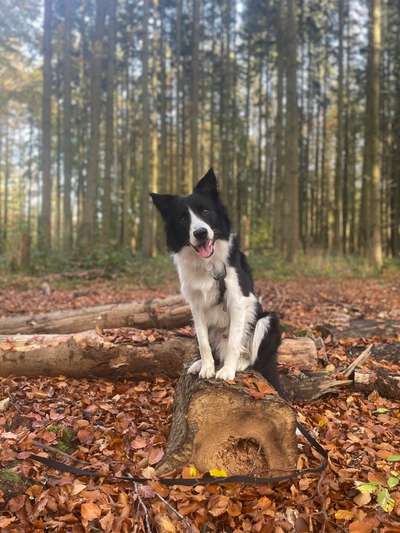 Fotochallenge Nr 107-Beitrag-Bild