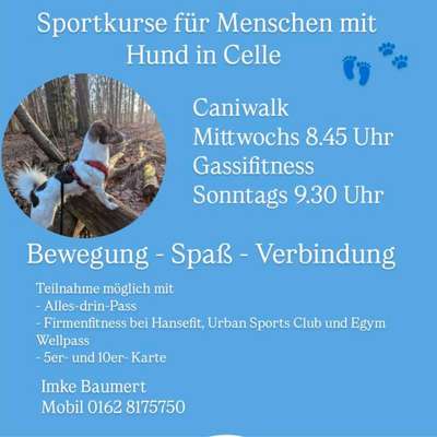 Weitere Unternehmen-Topfitdog Hundephysiotherapie-Bild