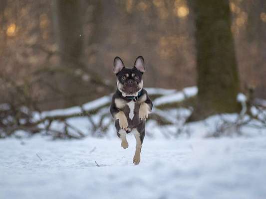 Lustige Bilder-Beitrag-Bild