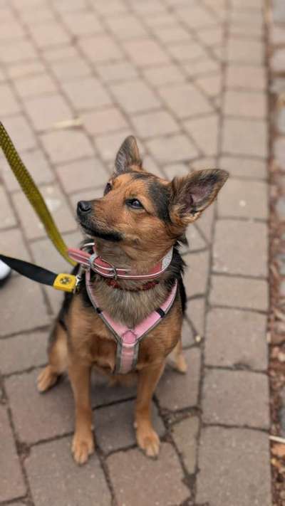 Kurzurlaub in Wilhelmshaven-Beitrag-Bild