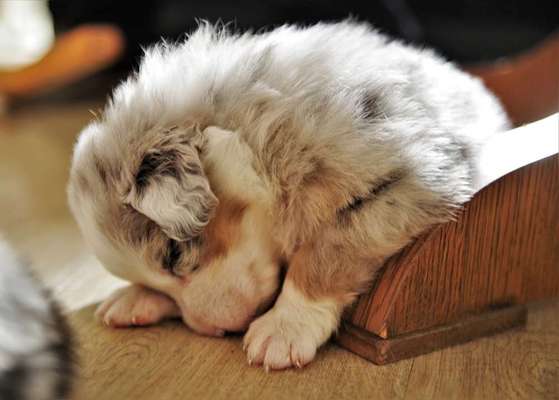 Die unbequemsten und lustigsten Schlafpositionen-Beitrag-Bild