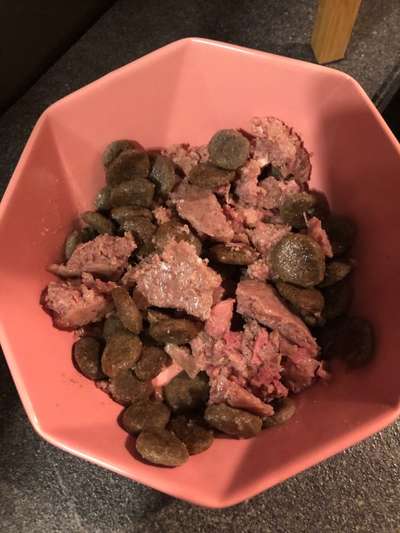 Zeigt her Eure Futternäpfe-Beitrag-Bild