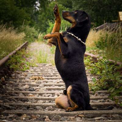 Saskia's Profilbild