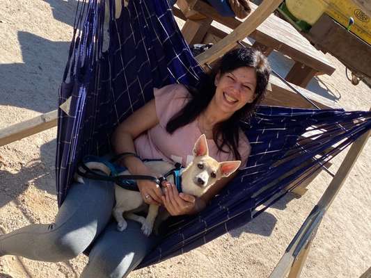 Hundetreffen-Spielfreund gesucht-Bild