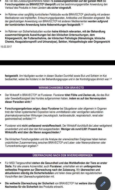 Floh und Zeckenmittel-Beitrag-Bild