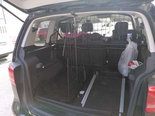 VW Touran und Hund-Beitrag-Bild