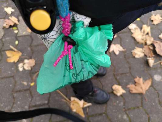 Fehlende Mülleimer-Beitrag-Bild