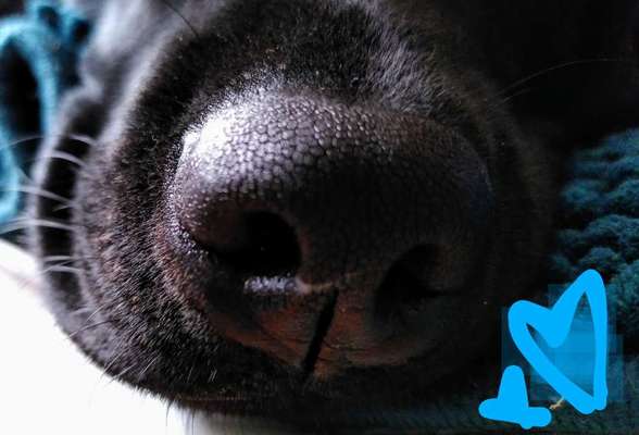 Blick fürs Detail!-Beitrag-Bild