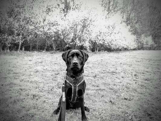 Foto-Challenge 76: Foto in Schwarz-Weiss-Beitrag-Bild