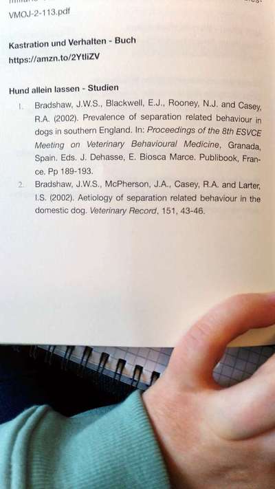 Trennungshund-Beitrag-Bild