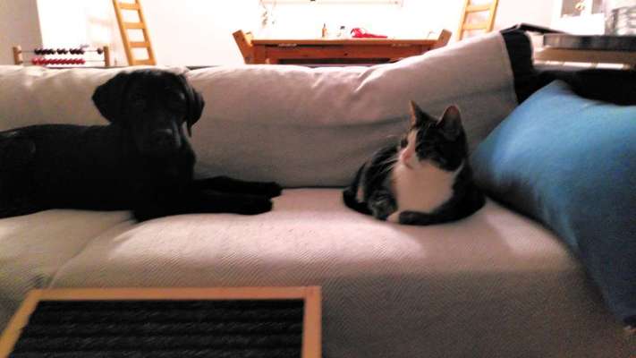 CHALLENGE Nr.17-Beitrag-Bild