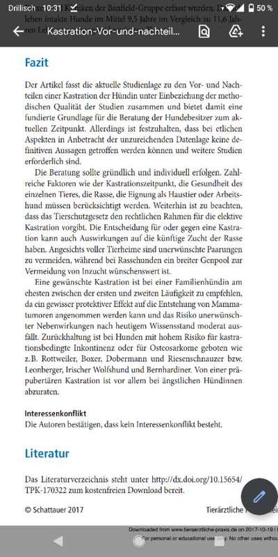 Kastration bei Hündin-Beitrag-Bild