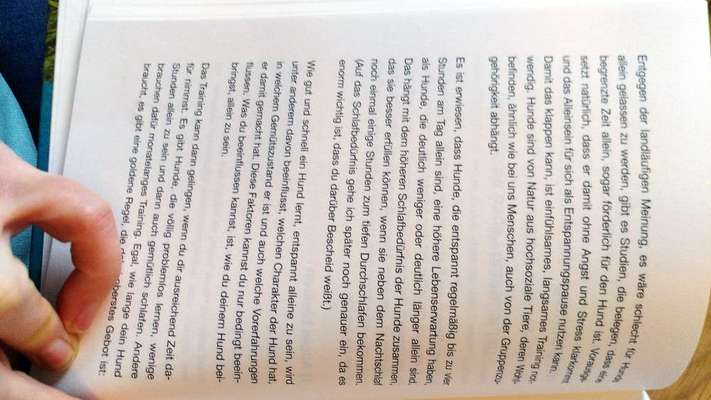 Wie lange sollte ein Hund alleine bleiben?-Beitrag-Bild