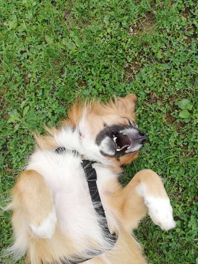 Lieblingsbild :D-Beitrag-Bild