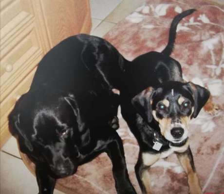 Lieblingsbild :D-Beitrag-Bild