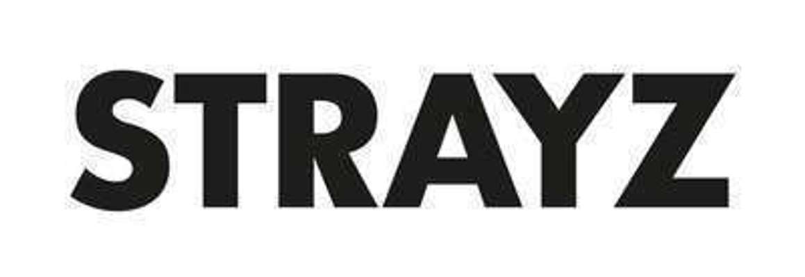 tests-STRAYZ-Bild