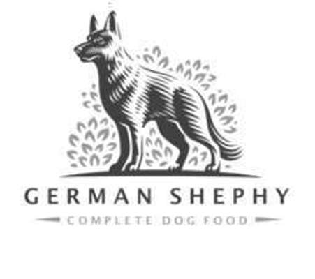 tests-German Shephy-Bild