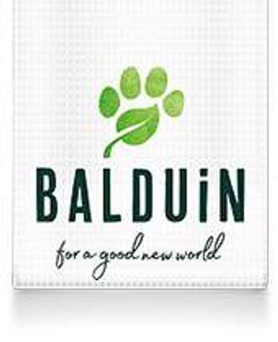 tests-BALDUiN -Bild