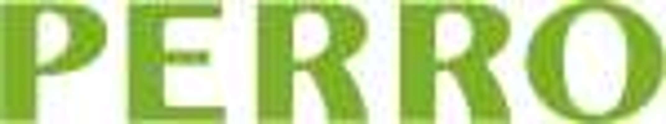 tests-PERRO-Bild