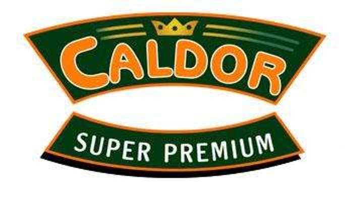 tests-Caldor-Bild