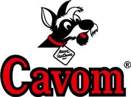 tests-Cavom-Bild