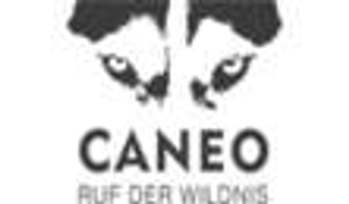 tests-Caneo-Bild