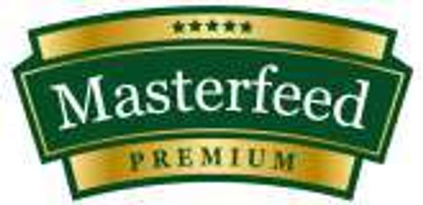 tests-Masterfeed-Bild