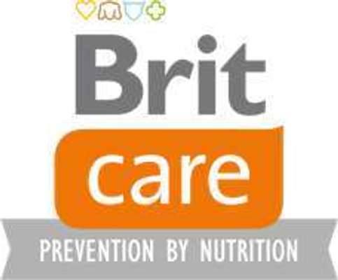 tests-Brit-Bild