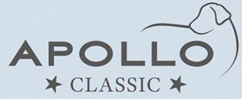 tests-APOLLO-Bild