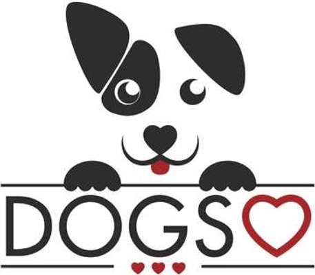 tests-Dogs Heart-Bild