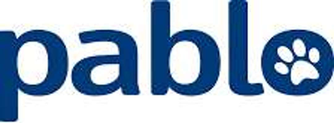 tests-pablo-Bild
