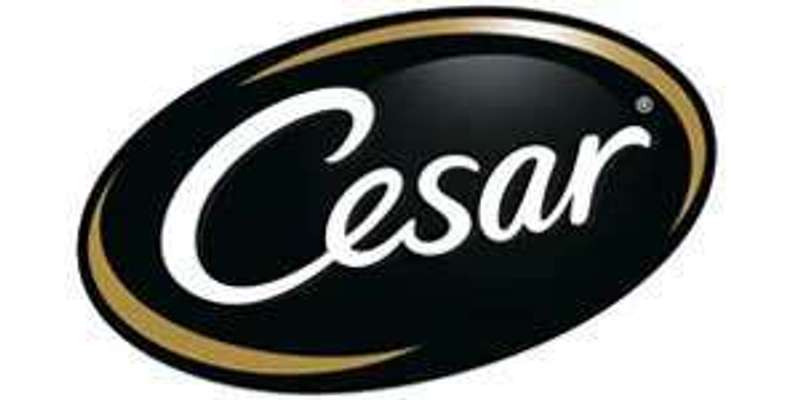 tests-Cesar-Bild