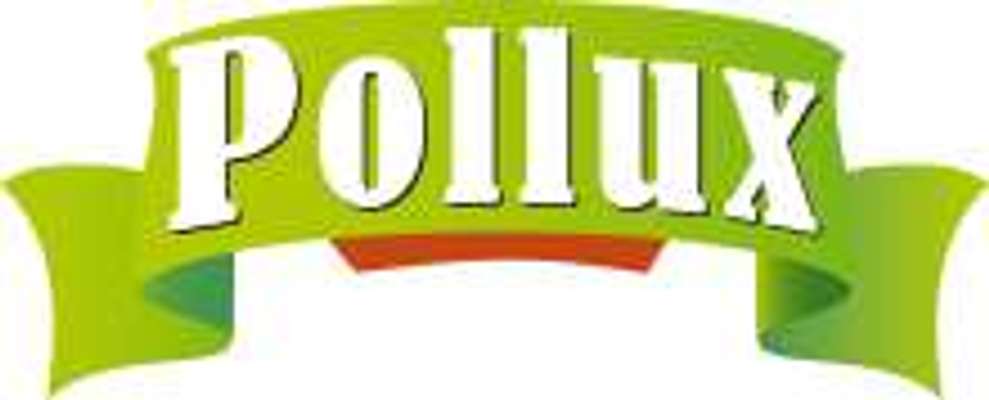 tests-Pollux-Bild