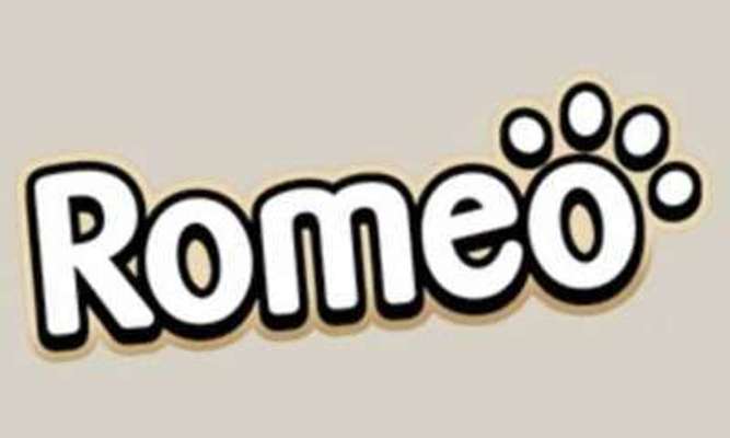 tests-ROMEO-Bild