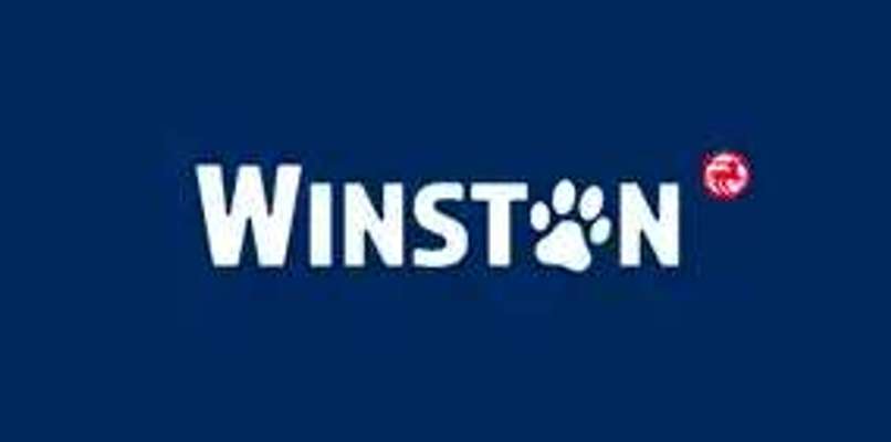tests-Winston-Bild