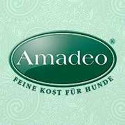 tests-Amadeo-Bild