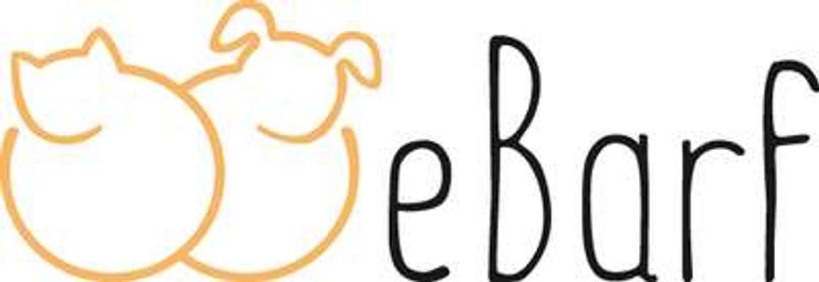 tests-eBarf-Bild