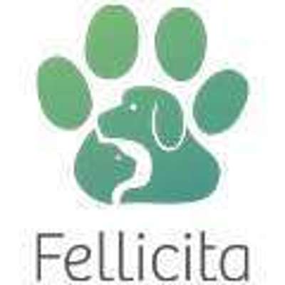 tests-Fellicita-Bild