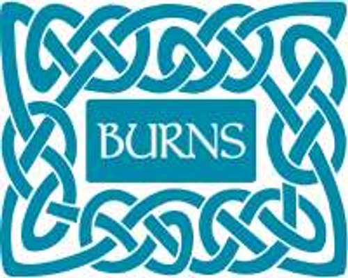 tests-Burns-Bild