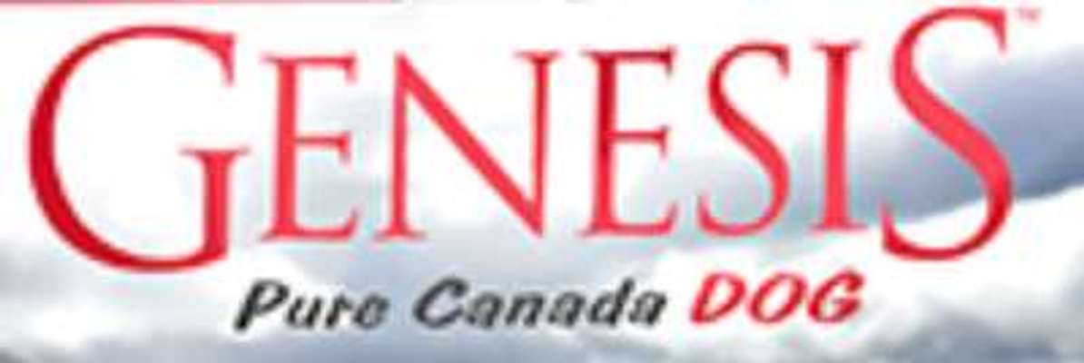 tests-Genesis-Bild