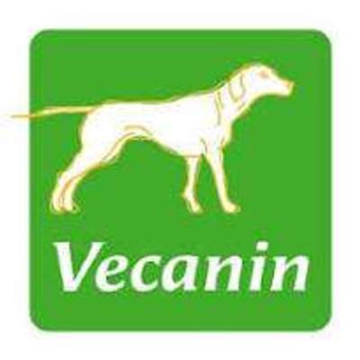 tests-Vecanin-Bild