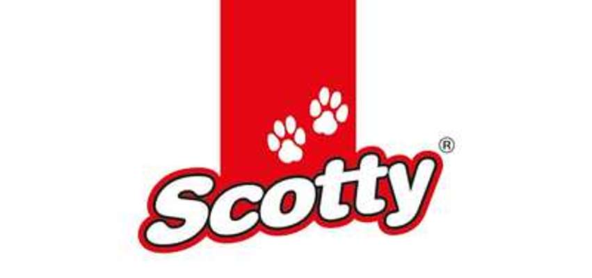 tests-Scotty-Bild